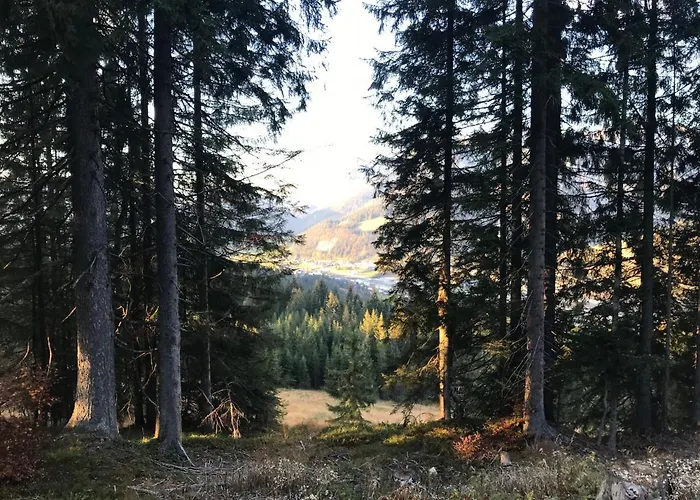 Hochfilz'ner Hof Gæstehus